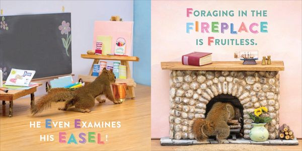 Produktbild: Oakley the Squirrel: The Search for Z