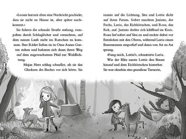 Produktbild: Sternenfreunde - Das magische Abenteuer beginnt