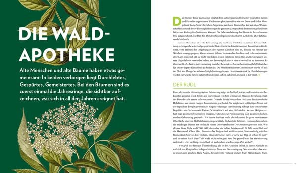 Produktbild: Die sanfte Medizin der Bäume