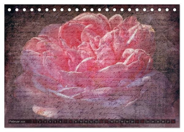 Produktbild: Gothic Rose - Rosen aus dem Garten der Finsternis (Tischkalender 2026 DIN A5 quer), CALVENDO Monatskalender