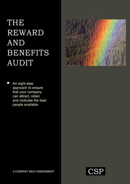 Produktbild: The Reward and Benefits Audit