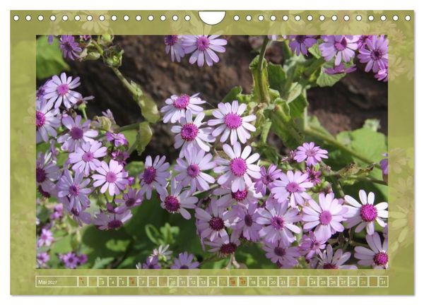 Produktbild: Wundersame Kanarenflora (Wandkalender 2027 DIN A4 quer), CALVENDO Monatskalender
