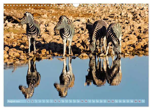 Produktbild: Namibias faszinierende Tierwelt (Wandkalender 2026 DIN A3 quer), CALVENDO Monatskalender