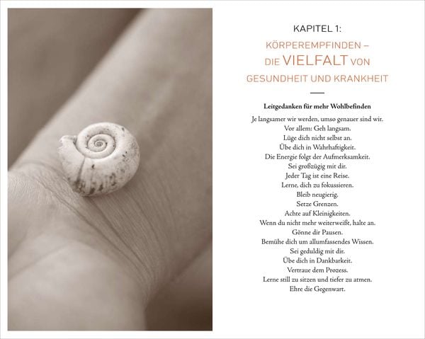Produktbild: K&ouml;rperfl&uuml;stern