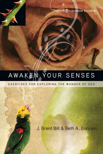 Produktbild: Awaken Your Senses