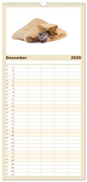 Produktbild: Familienplaner 2026 - Katzenbabys mit 5 Spalten (Wandkalender, 21 x 45 cm) CALVENDO