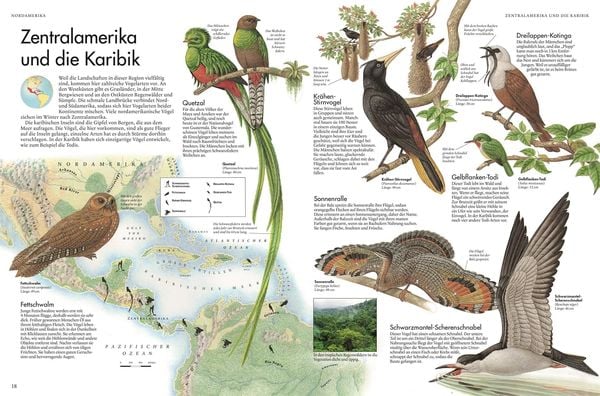 Produktbild: Atlas der V&ouml;gel