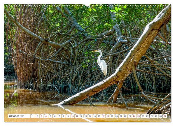 Produktbild: Unterwegs auf Yucatan Mexiko (hochwertiger Premium Wandkalender 2026 DIN A2 quer), Kunstdruck in Hochglanz