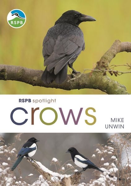 Produktbild: RSPB Spotlight Crows