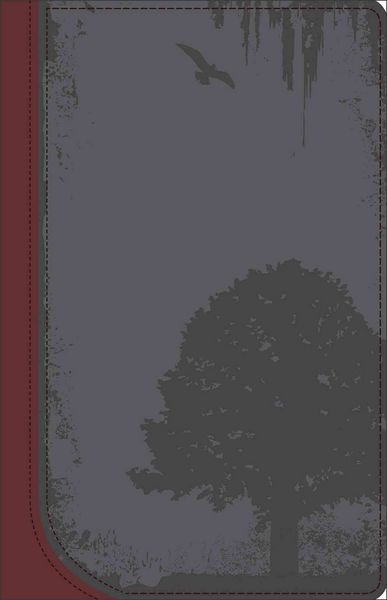 Produktbild: DiMarco, M: God Guy Bible