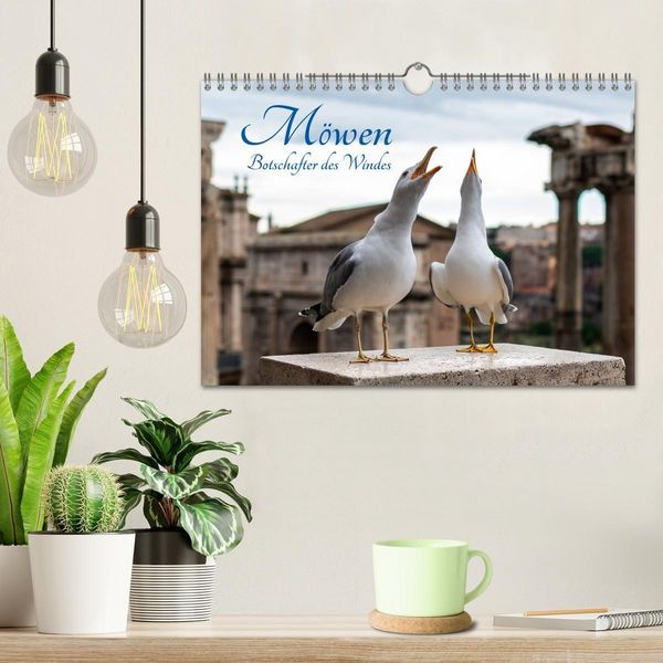 Produktbild: M&ouml;wen- Botschafter des Windes (Wandkalender 2027 DIN A4 quer), CALVENDO Monatskalender