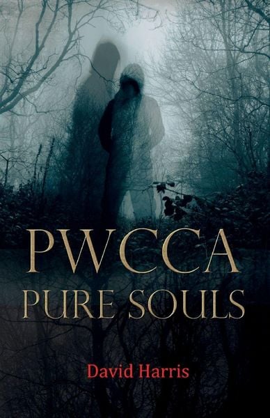 Produktbild: Pwcca Pure Souls