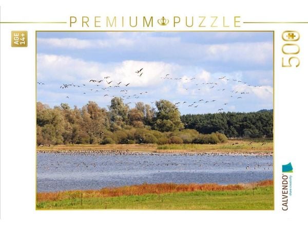 CALVENDO Puzzle Wildgänse am Gülper See | 500 Teile Lege-Größe 48 × 36 cm Foto-Puzzle für Erwachsene