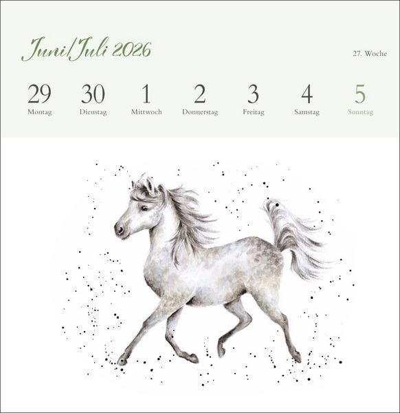 Produktbild: Hannah Dale: Happy Animals Premium-Postkartenkalender 2026