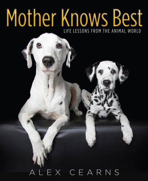 Produktbild: Mother Knows Best