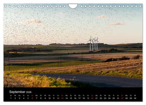 Produktbild: D&auml;nemark Westj&uuml;tland (Wandkalender 2026 DIN A4 quer), CALVENDO Monatskalender