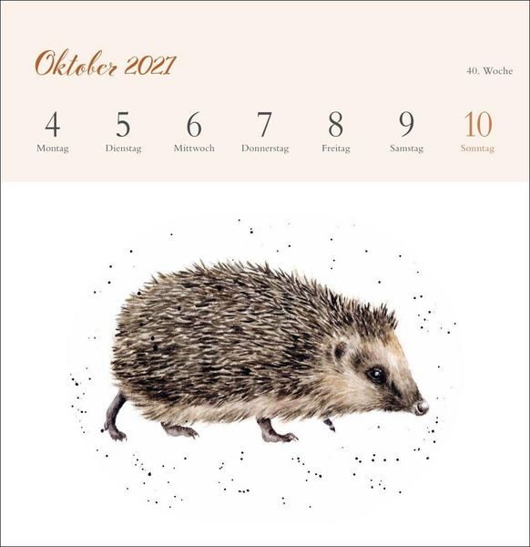 Produktbild: Hannah Dale: Happy Animals Premium-Postkartenkalender 2027