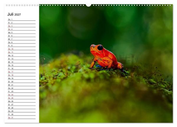 Produktbild: Costa Rica &ndash; Tierparadies im Regenwald (hochwertiger Premium Wandkalender 2027 DIN A2 quer), Kunstdruck in Hochglanz