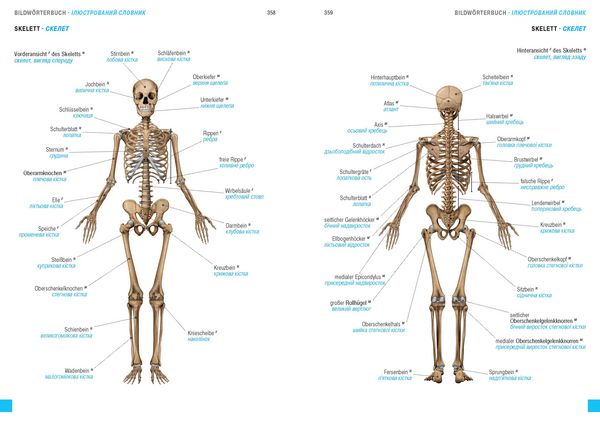 Produktbild: W&ouml;rterbuch Medizin Deutsch-Ukrainisch, Ukrainisch-Deutsch mit zweisprachigen Anatomietafeln