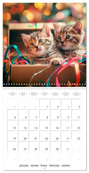Produktbild: KITTEN Cuteness overload (Wall Calendar 2026 12 &times; 12 Inch) CALVENDO 12 Month Wall Calendar