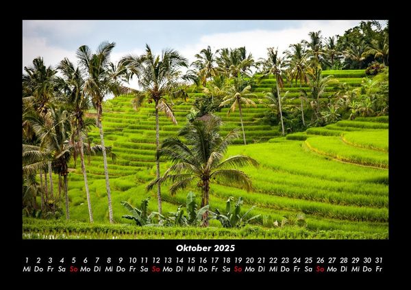 Produktbild: Palmentraum 2025 Fotokalender DIN A3