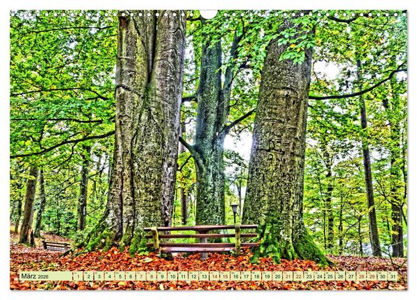 Produktbild: Verwunschene Waldtr&auml;ume: Ein Kalender voller Magie (Wandkalender 2026 DIN A3 quer), CALVENDO Monatskalender
