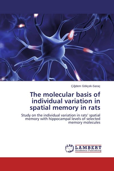 Produktbild: The molecular basis of individual variation in spatial memory in rats