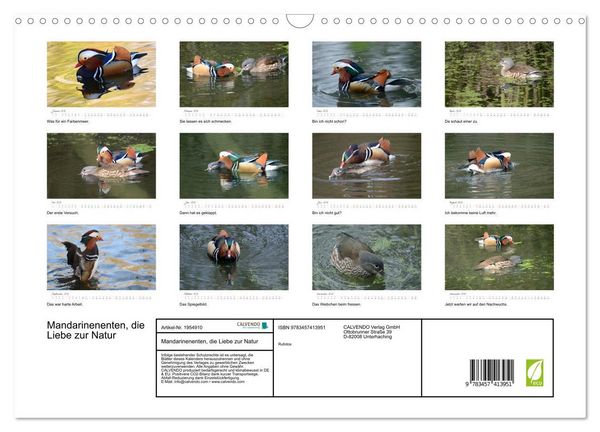 Produktbild: Mandarinenenten, die Liebe zur Natur (Wandkalender 2026 DIN A3 quer), CALVENDO Monatskalender