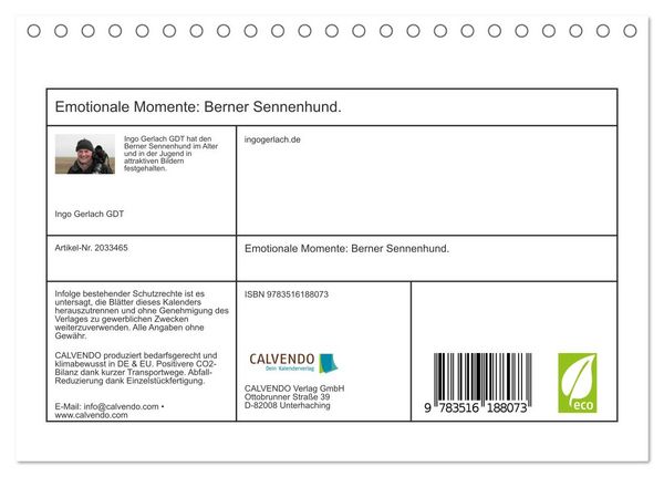Produktbild: Emotionale Momente: Berner Sennenhund. (Tischkalender 2026 DIN A5 quer), CALVENDO Monatskalender