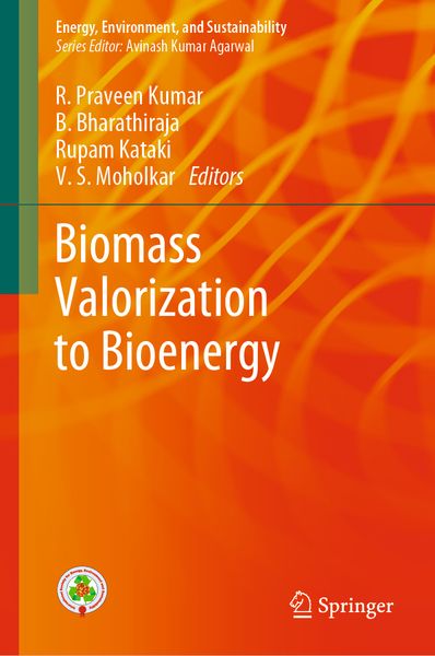 Produktbild: Biomass Valorization to Bioenergy