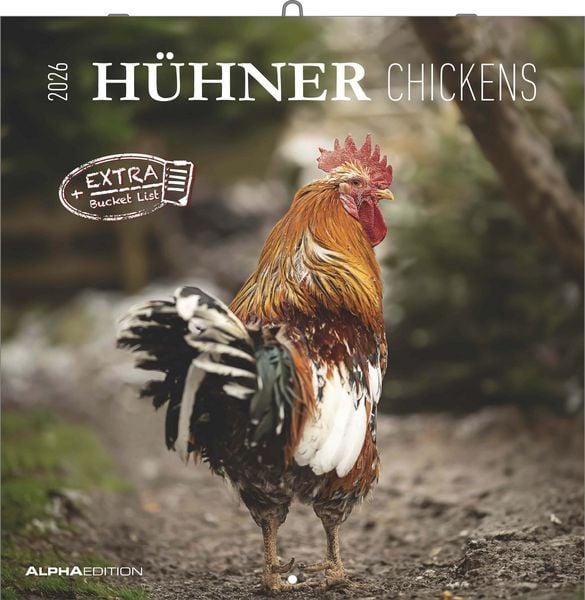 Produktbild: Hühner 2026 - Broschürenkalender 30x30 cm (30x60 geöffnet) - Kalender mit Platz für Notizen - Hühner - Bildkalender - Wandkalender - Hühnerkalender
