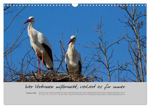 Produktbild: Kleine und gro&szlig;e Wahrheiten - Spr&uuml;che zum Nachdenken (Wandkalender 2026 DIN A3 quer), CALVENDO Monatskalender