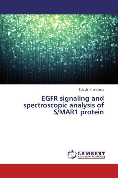 Produktbild: EGFR signaling and spectroscopic analysis of S/MAR1 protein