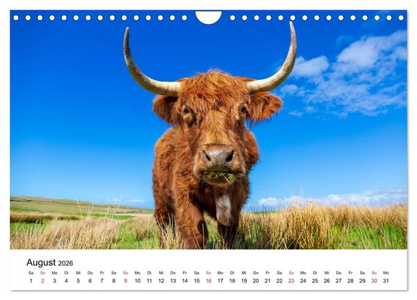 Produktbild: North Coast 500 - Schottlands Traumstra&szlig;e (Wandkalender 2026 DIN A4 quer), CALVENDO Monatskalender