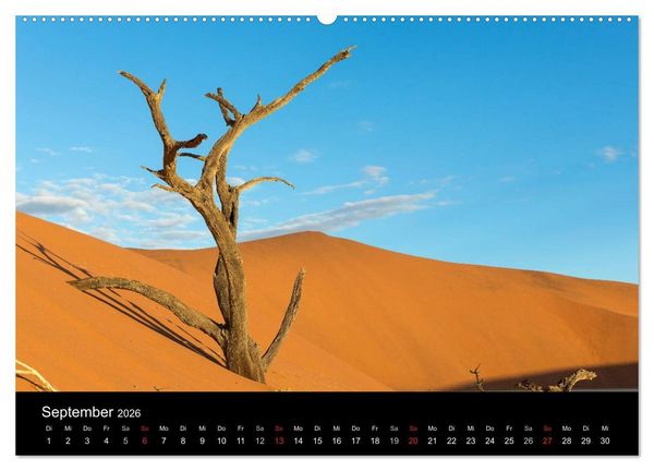 Produktbild: Lichterf&uuml;lltes Namibia (Wandkalender 2026 DIN A2 quer), CALVENDO Monatskalender
