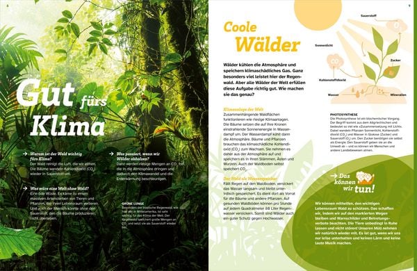 Produktbild: WAS IST WAS Der Wald. Zwischen Bl&auml;ttern und Zapfen