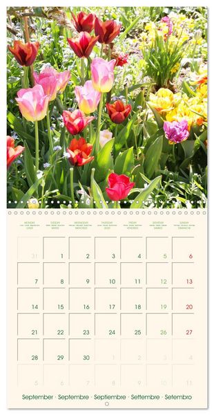 Produktbild: Tulipes charmantes et fra&icirc;ches (Calendrier mural carr&eacute; 2026 30x30 cm) Calendrier double avec une page pour vos prises de notes