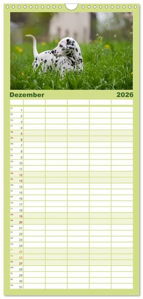 Produktbild: Familienplaner 2026 - Dalmatiner mit 5 Spalten (Wandkalender, 21 x 45 cm) CALVENDO