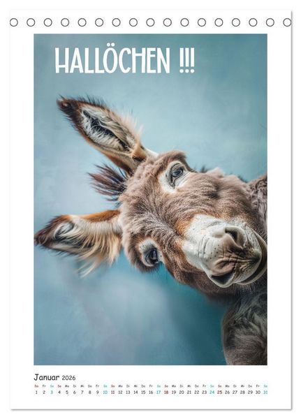 Produktbild: Lach Dich fit ! (Tischkalender 2026 DIN A5 hoch), CALVENDO Monatskalender