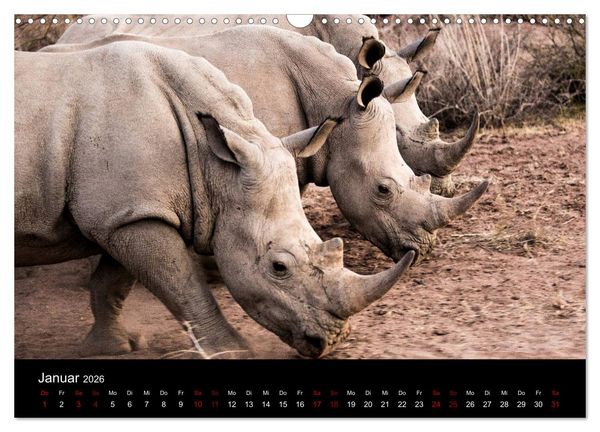 Produktbild: Afrika - Faszination Tierwelt (Wandkalender 2026 DIN A3 quer), CALVENDO Monatskalender