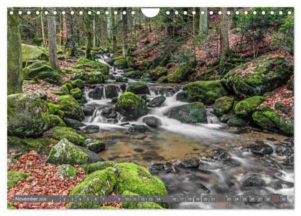 Produktbild: Schwarzwald-Wanderungen (Wandkalender 2026 DIN A4 quer), CALVENDO Monatskalender