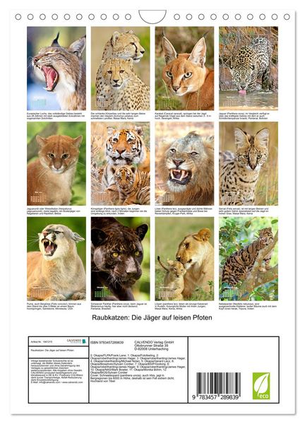 Produktbild: Raubkatzen: Die J&auml;ger auf leisen Pfoten (Wandkalender 2026 DIN A4 hoch), CALVENDO Monatskalender