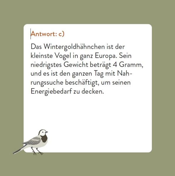 Produktbild: Das Vogel-Quiz