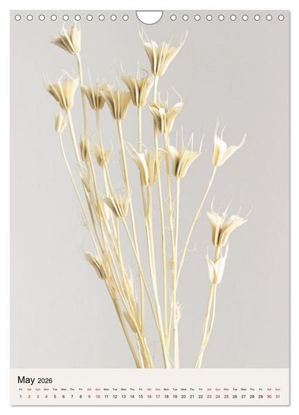 Produktbild: Dried Flowers (Wall Calendar 2026 DIN A4 portrait), CALVENDO 12 Month Wall Calendar