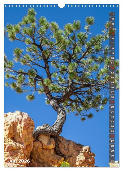 Produktbild: BRYCE CANYON Natur Pur (Wandkalender 2026 DIN A3 hoch), CALVENDO Monatskalender