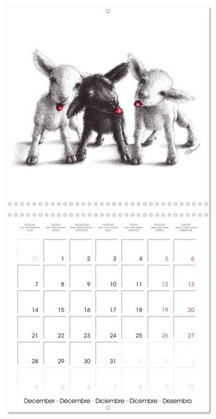 Produktbild: owls and mates 2026 (Wall Calendar 2026 12 &times; 12 Inch) CALVENDO 12 Month Wall Calendar