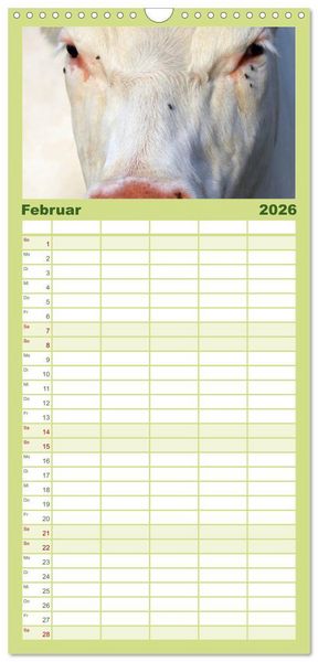 Produktbild: Familienplaner 2026 - K&uuml;he mit 5 Spalten (Wandkalender, 21 x 45 cm) CALVENDO