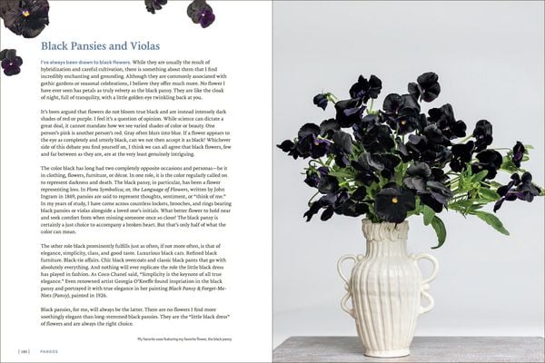 Produktbild: Pansies
