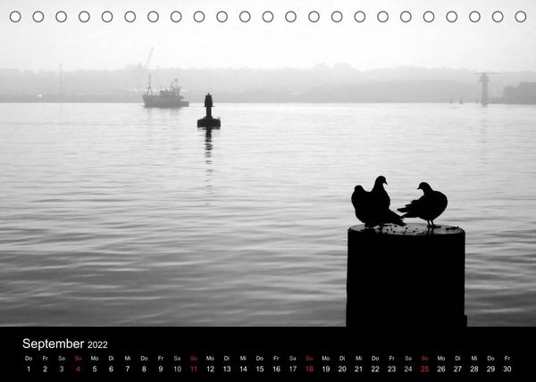 Produktbild: Kieler V&ouml;gel (Tischkalender 2022 DIN A5 quer)