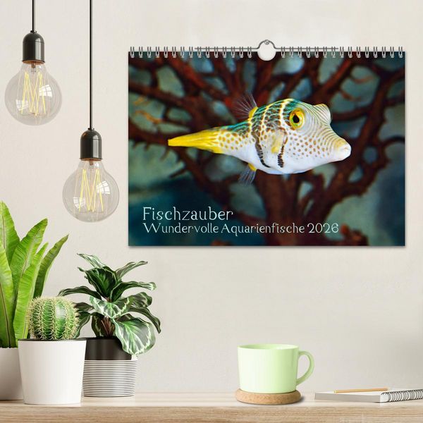 Produktbild: Fischzauber - Wundervolle Aquarienfische (Wandkalender 2026 DIN A4 quer), CALVENDO Monatskalender